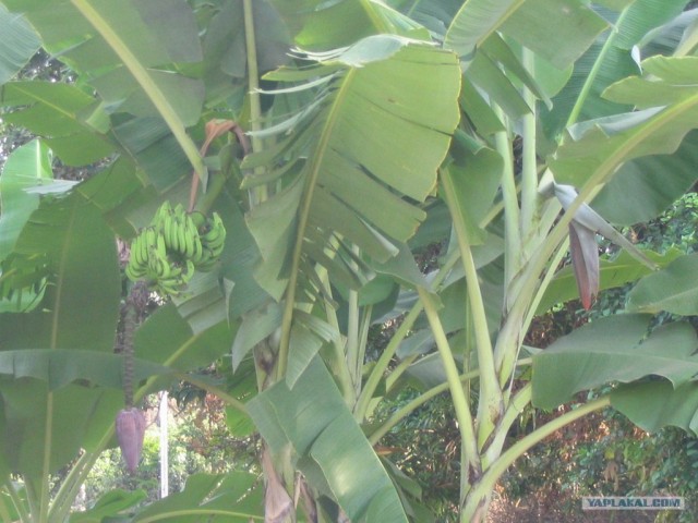 Путешествие в Сьерра-Леоне