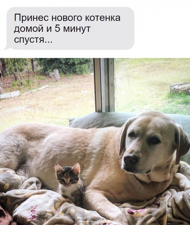 Картинки и мемы для настроения - 125
