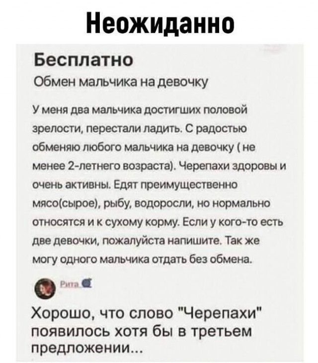 Немного картинок для настроения - 133
