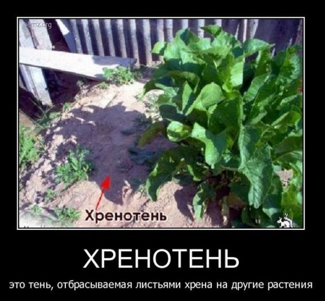 Весёлый полтишок 30.04.23