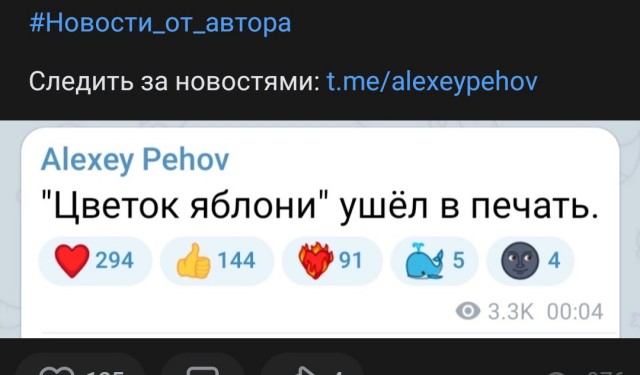 Поздний ужин сильной независимой женщины