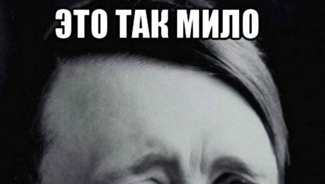 В Подмосковье с 1 сентября введут новые правила для владельцев собак