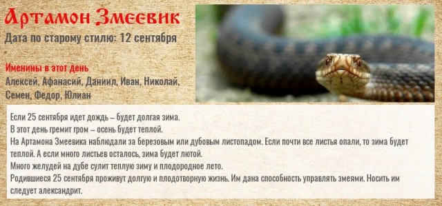 Рязань - Сасово из кабины машиниста