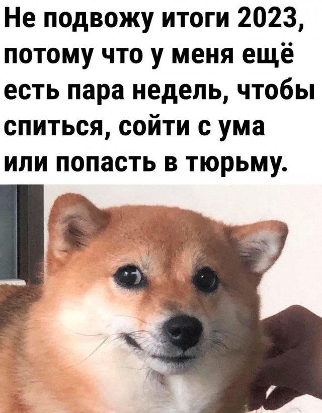 Так себе картинки 20.12.23