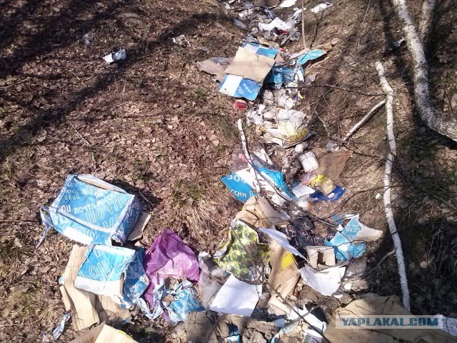 Почта России: сброс баласта