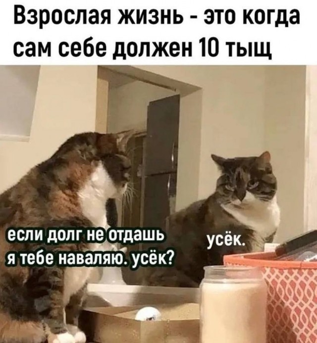 Так себе картинки 09.04.24