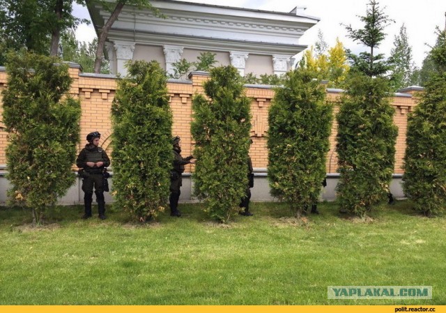 Чем крепить профлист на заборе.  Заклепки или саморезы?
