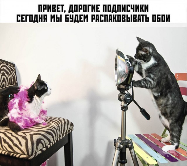 Так себе картинки 08.05.24