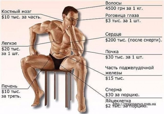 Сколько воды, еды и воздуха потребляет человек за всю жизнь суммарно? Интересный подсчёт