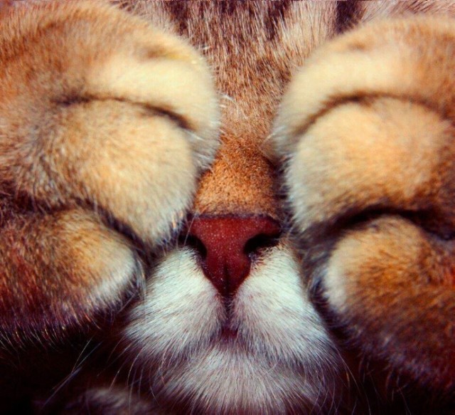 Настроение бывает разным, как и картинки