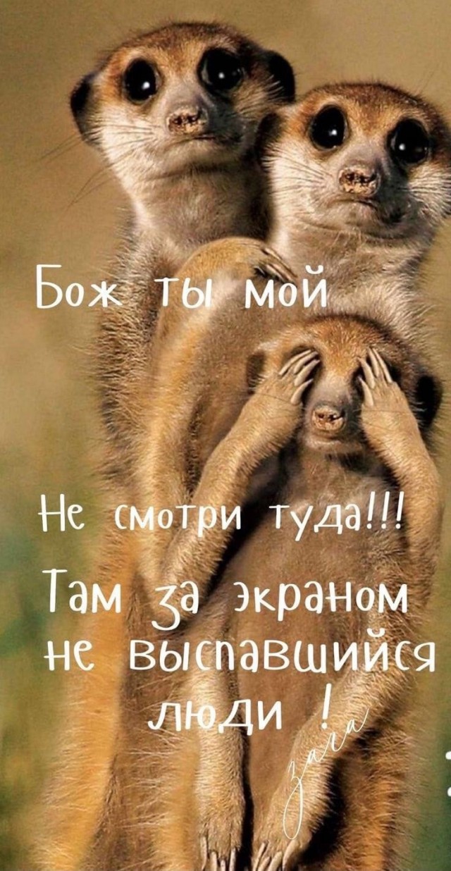 Завалялось тут случайно немного забавных картинок