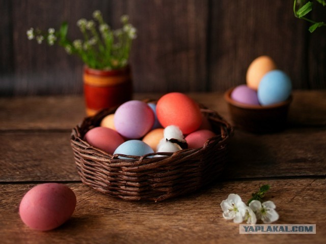 Ученый из МФТИ рассказал, как лучше красить яйца на Пасху