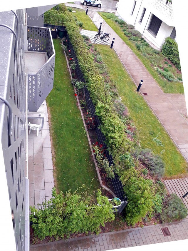 Клумба во дворе 2025 зима