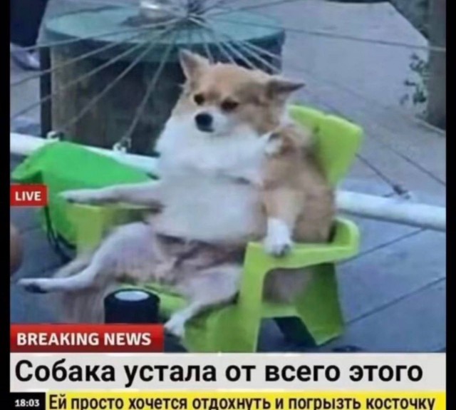 Сегодня отмечается День Выгорания