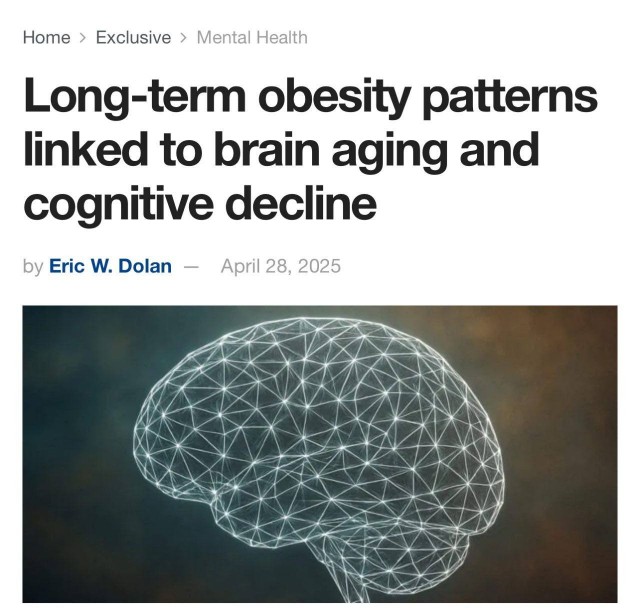 Толстые люди тупеют — исследование.