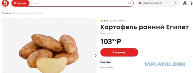 Цены пробили потолок. Какой картофель лежит на полках московских магазинов, сколько стоит и когда подешевеет