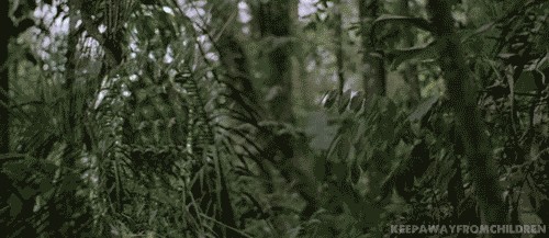Солнце опять удивляет.