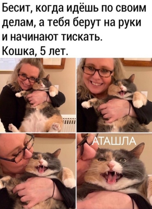 Так себе картинки 24.08.25
