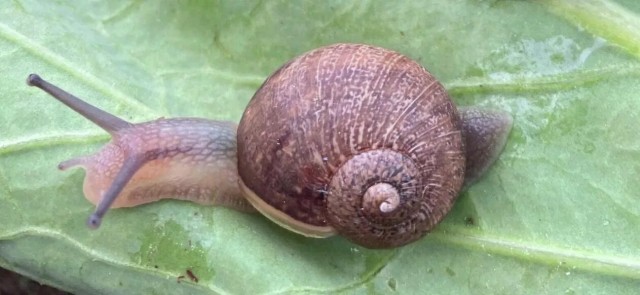 Проблема, так проблема