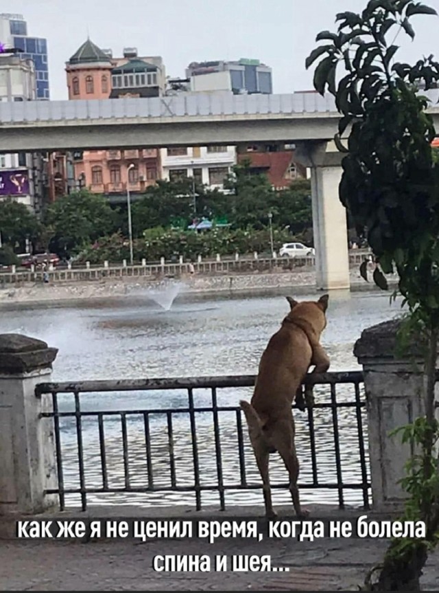 Так себе картинки 18.02.26