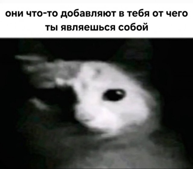 Что-то уже коньяка хочется