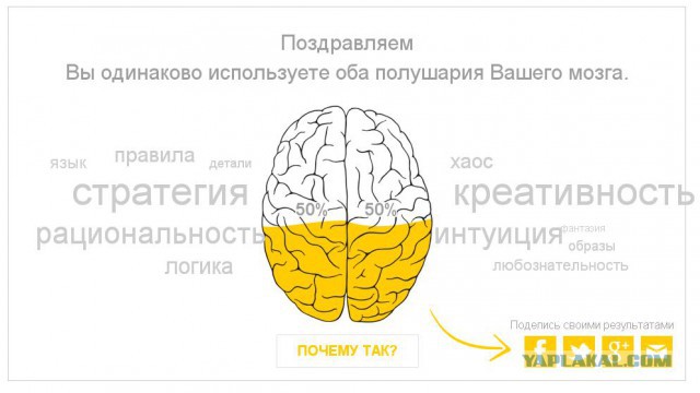 Тест - Левое или Правое.