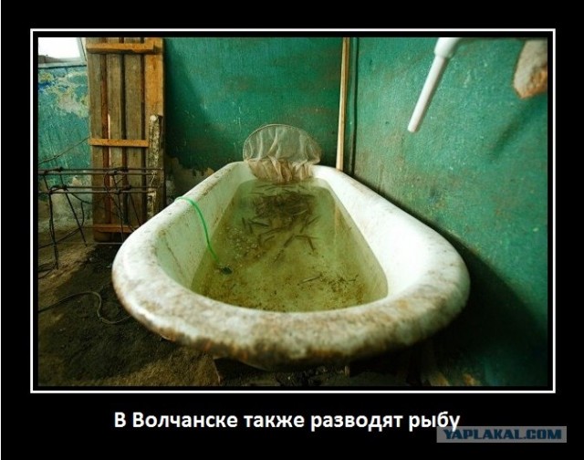 Волчанск - самый маленький город России с трамваем