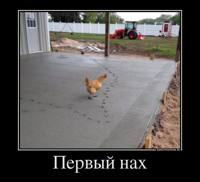 Приколы из соцсетей