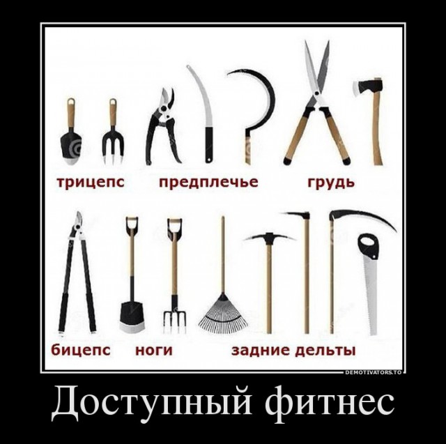 Картинки  разные
