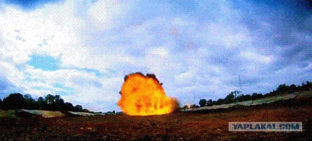 Шершни — «летающие тигры»