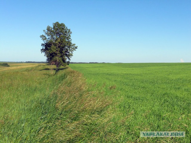 20 шикарных фотографий для тех, кто считает, что в России нет красивых мест