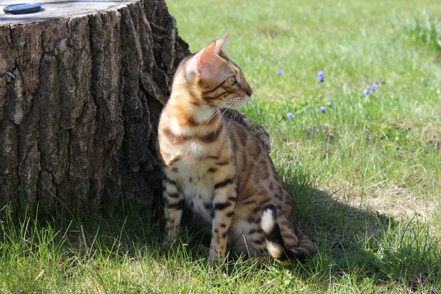 КотоВторник 26.04.2016