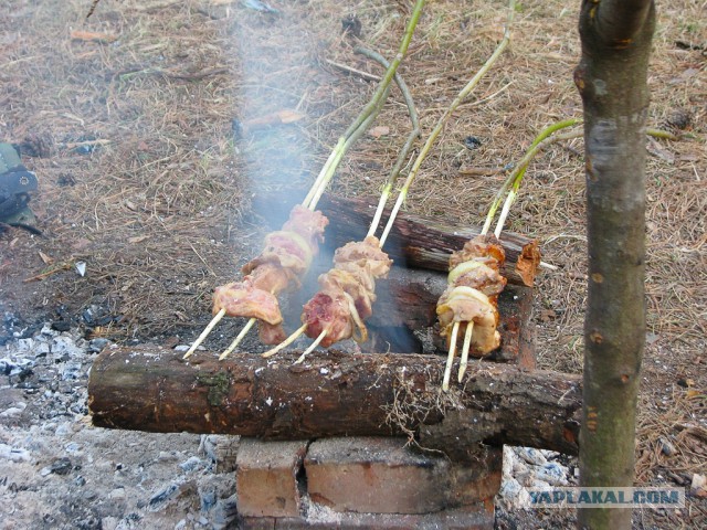 Следственный эксперимент с шашлыком