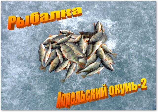 Рыбалка. Апрельский окунь-2.