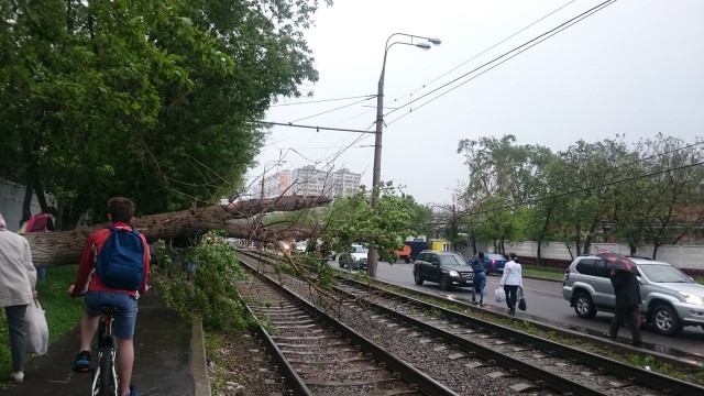В Москве ураган!