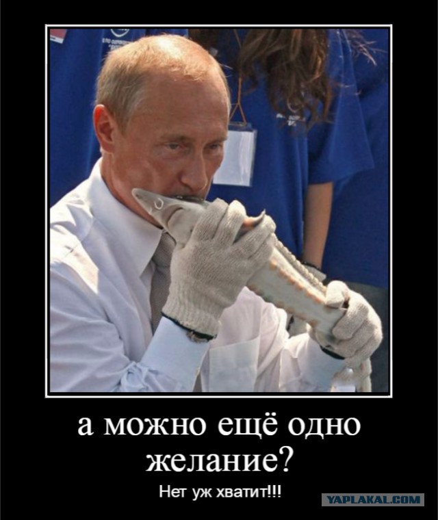 Из интернета, опять картинки