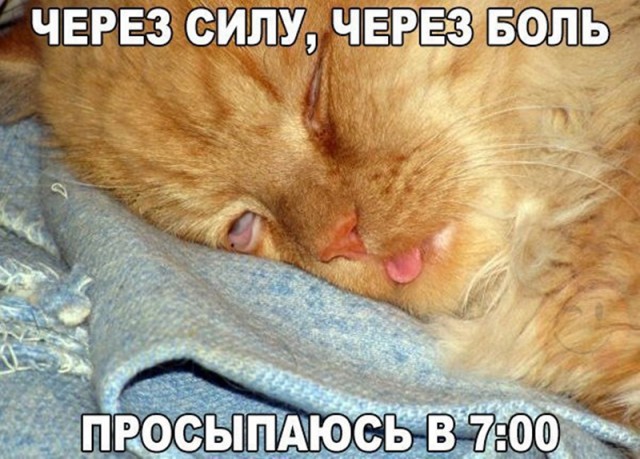 Подборка интересных и веселых картинок