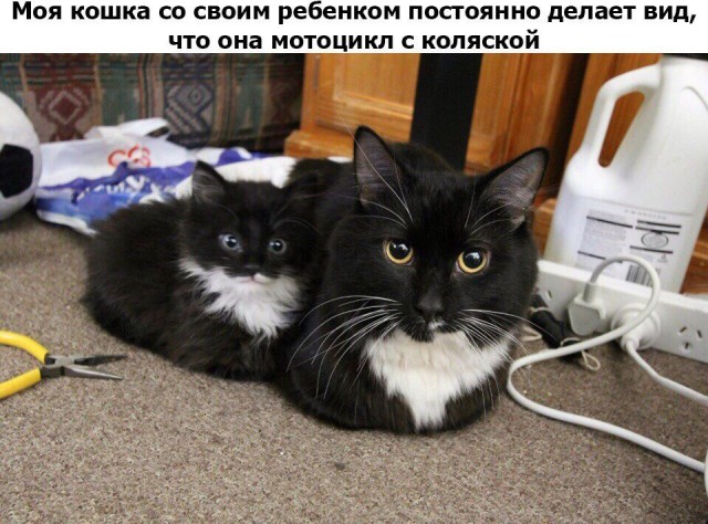 Нестандартный юмор