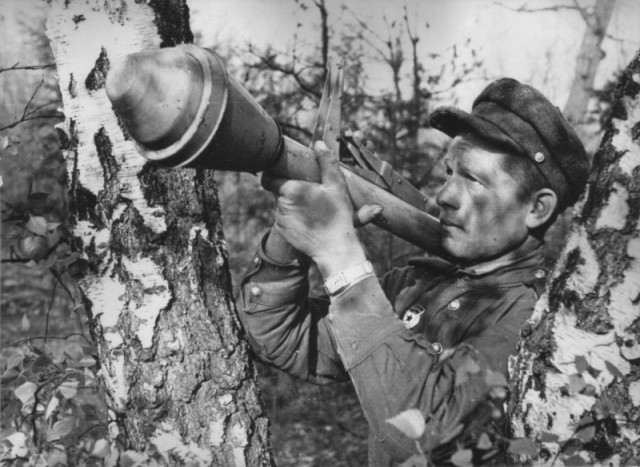 Великая Отечественная в 75 фотографиях