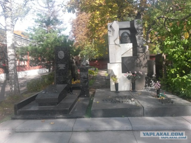 Новодевичье