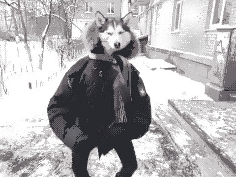 Серьезный пацан