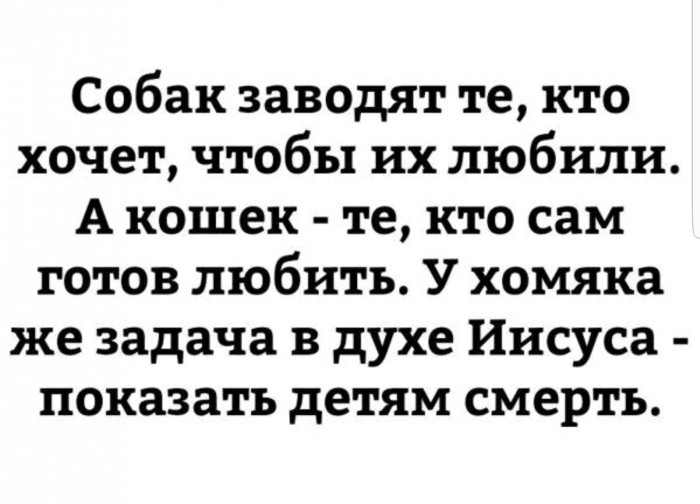 Анекдоты, соц-сети и картинки с надписями
