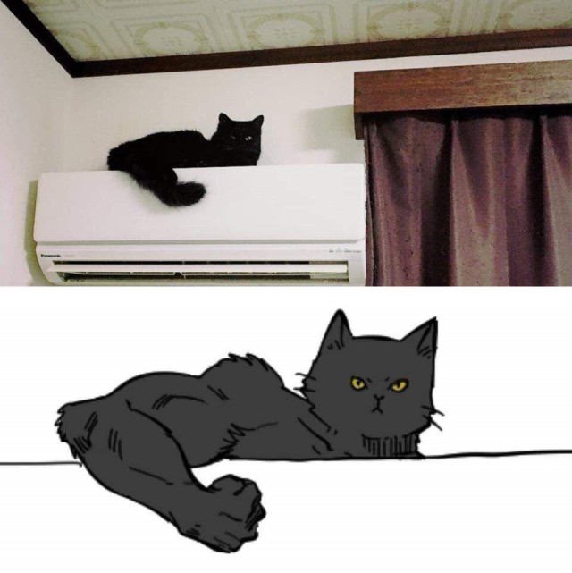 Он не кот. Часть 14