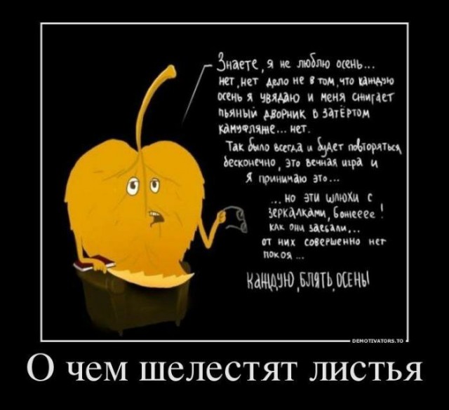 Субботняя фотоподборка