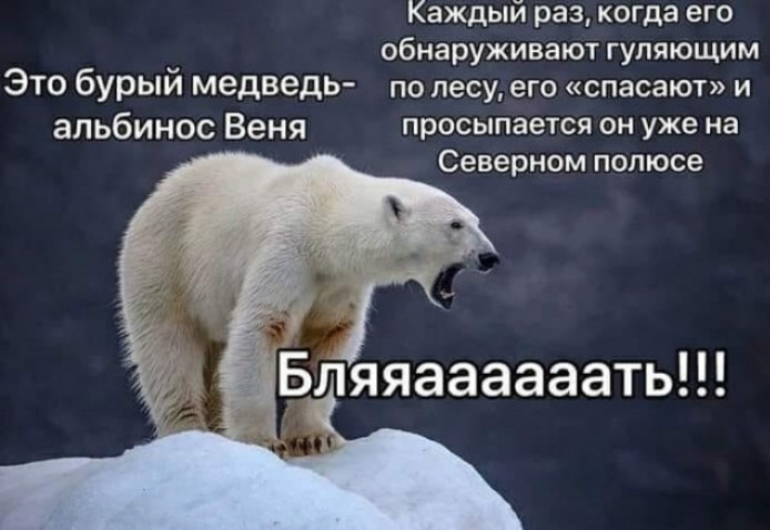 Восточное побережье Австралии