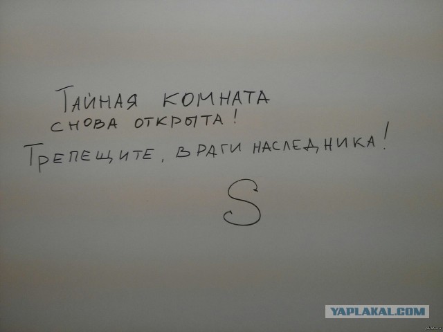 Жительница Тулы вернулась домой после отпуска и обнаружила в своём толчке змею, которая выползла из отверстия