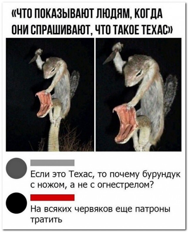 Немного картинок для настроения 29.04.20