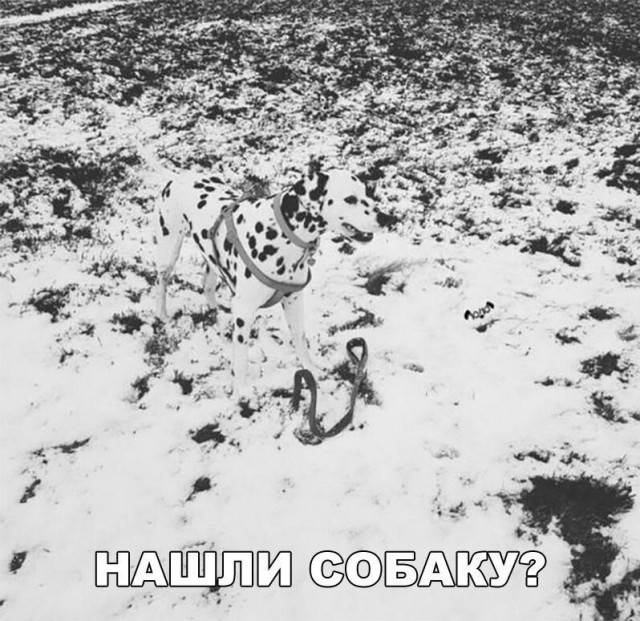 Чуток картинок 23.07.20