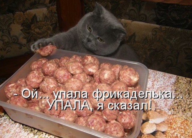 Картинки разные 08.10.2020