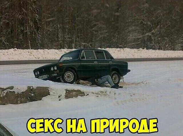 Разносол из картинок утром в среду 23.12.2020